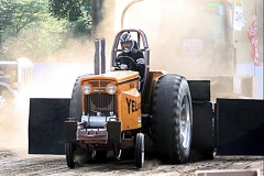 CAYIMG_9756-01ip