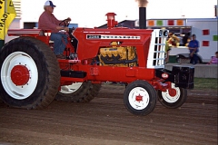 DCRIMG_4019-1ip
