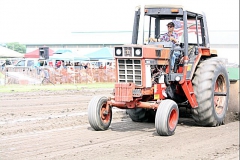 LDIMG_6747-01ip