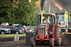 NB2IMG_8647-01ip