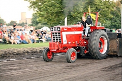 NB2IMG_8655-01ip