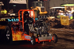 NB2IMG_8682-01ip