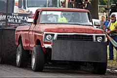 NMNIMG_4155-01lg