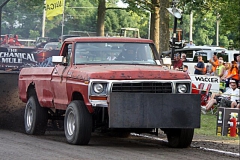 NMNIMG_4159-01ip